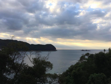 地磯から肝ぱんカワハギとイシダイ